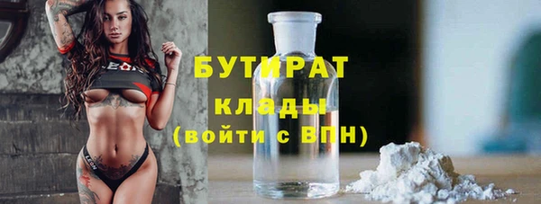 индика Абаза
