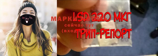 индика Абаза