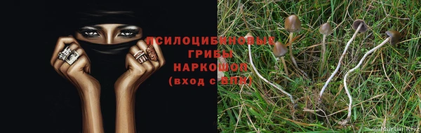 2c-b Алзамай