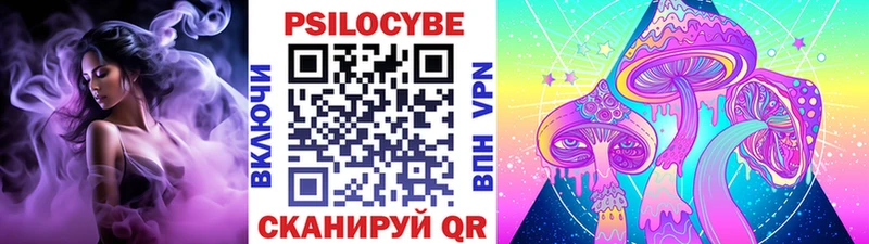 Псилоцибиновые грибы прущие грибы  где купить наркоту  Западная Двина 
