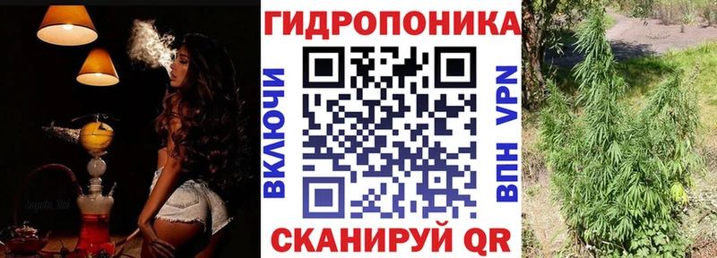 где найти наркотики  Западная Двина  МАРИХУАНА SATIVA & INDICA 